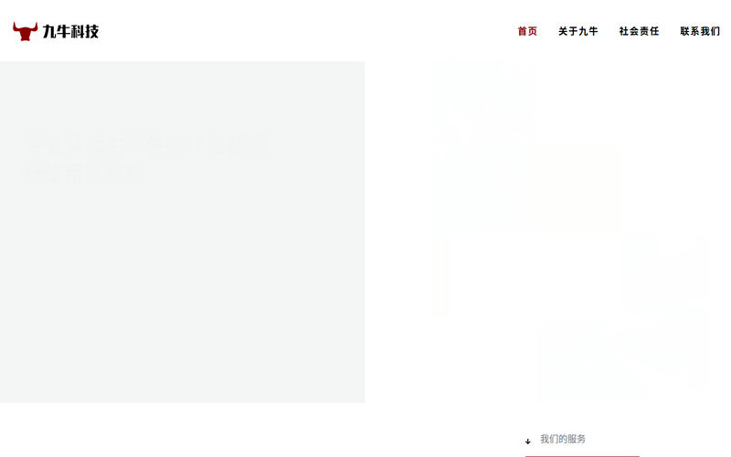 江阴市九牛科技有限公司 – 九牛科技网站快照