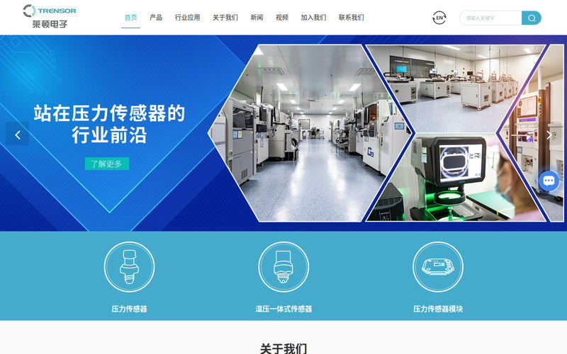 无锡莱顿电子有限公司-站在压力传感器的行业前沿网站快照
