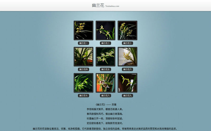 幽兰花 YouLanHua.com网站快照