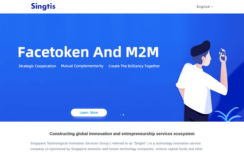 Singtis 新科创集团网站快照