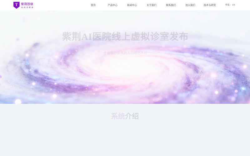 紫荆智康网站快照