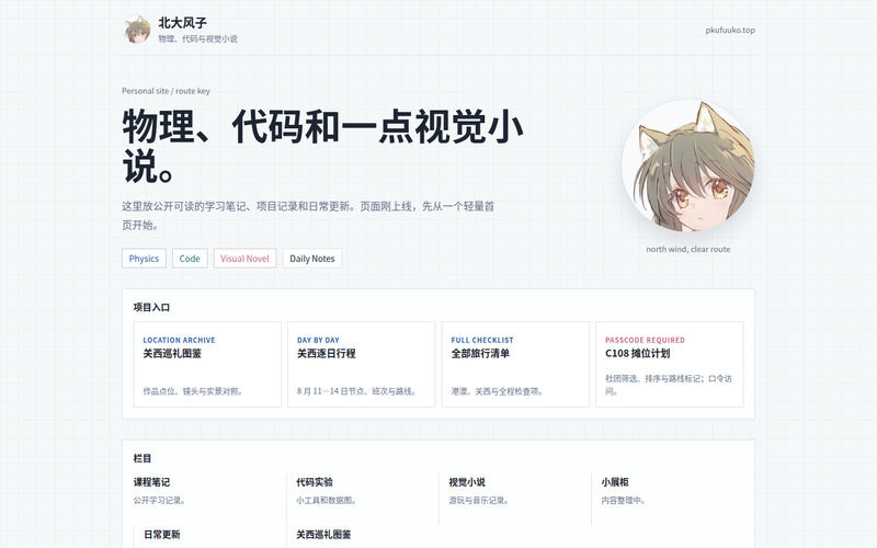 北大风子网站快照