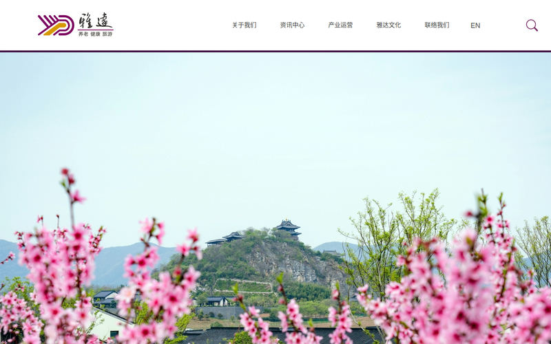 雅达 - 养老、健康、旅游产业投资网站快照
