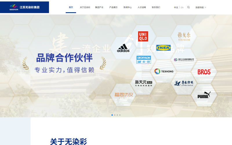 江苏无染彩集团网站快照