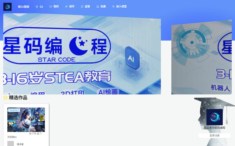 星码编程网站快照
