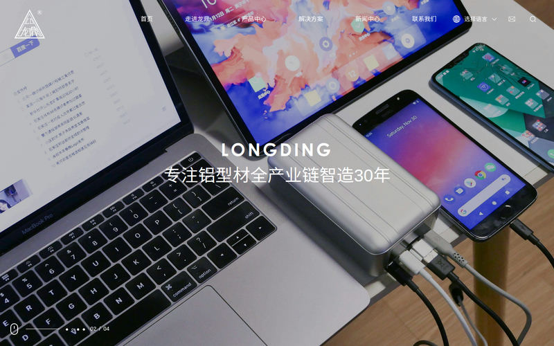 江苏龙鼎轻合金有限公司网站快照