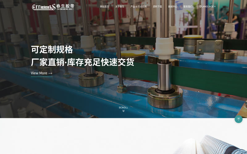 高强尼龙片基传动带,江苏龙带,打孔带-江阴市春生胶带有限公司网站快照