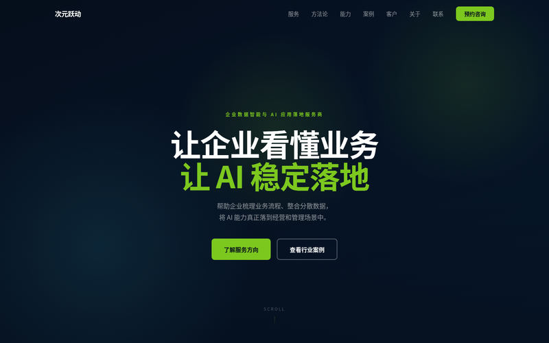 江苏次元跃动科技有限公司 — 企业数据智能与 AI 应用落地服务商网站快照