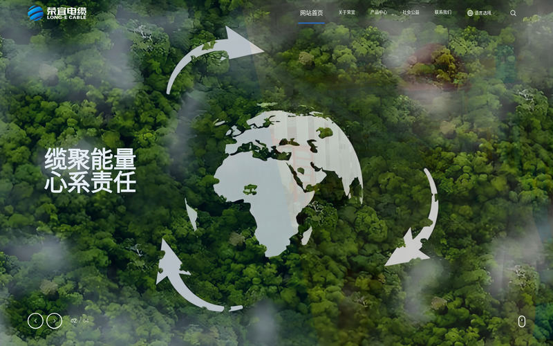 江苏荣宜电缆有限公司网站快照