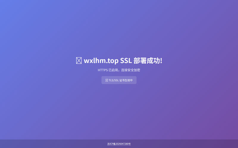 wxlhm.top网站快照