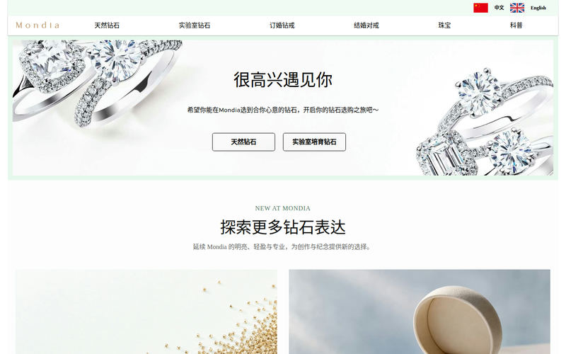 MONDIA网站快照