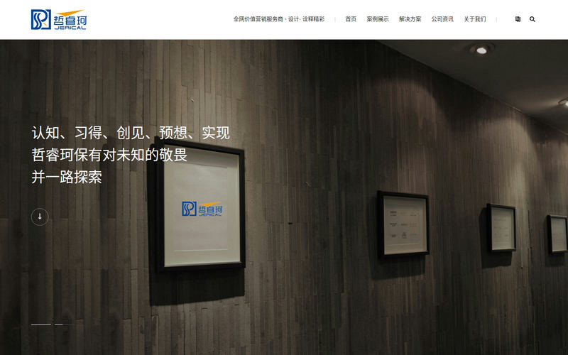 哲睿珂网站快照
