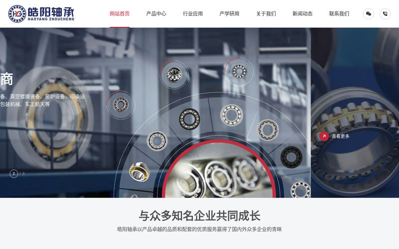 高温轴承_耐高温轴承生产厂家_无锡皓阳轴承有限公司网站快照