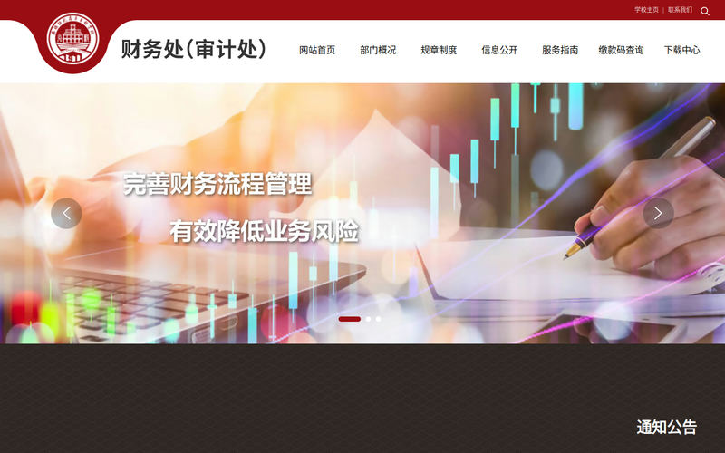 财务处(审计处)网站快照